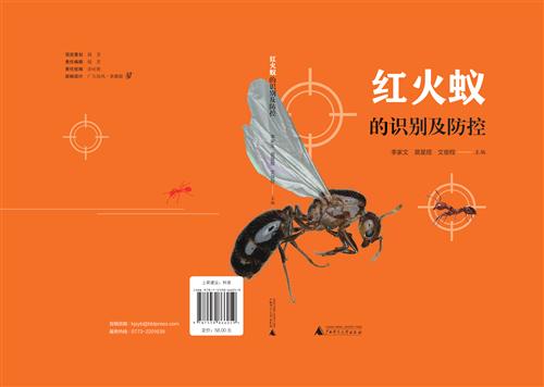 2025澳门2025免费原料网44