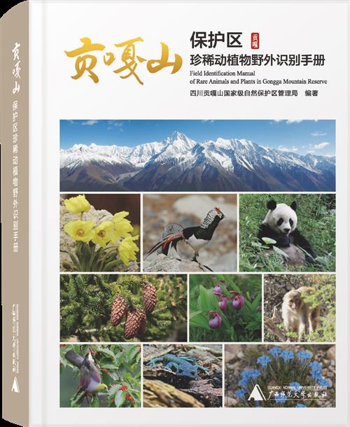 2025澳门2025免费原料网44